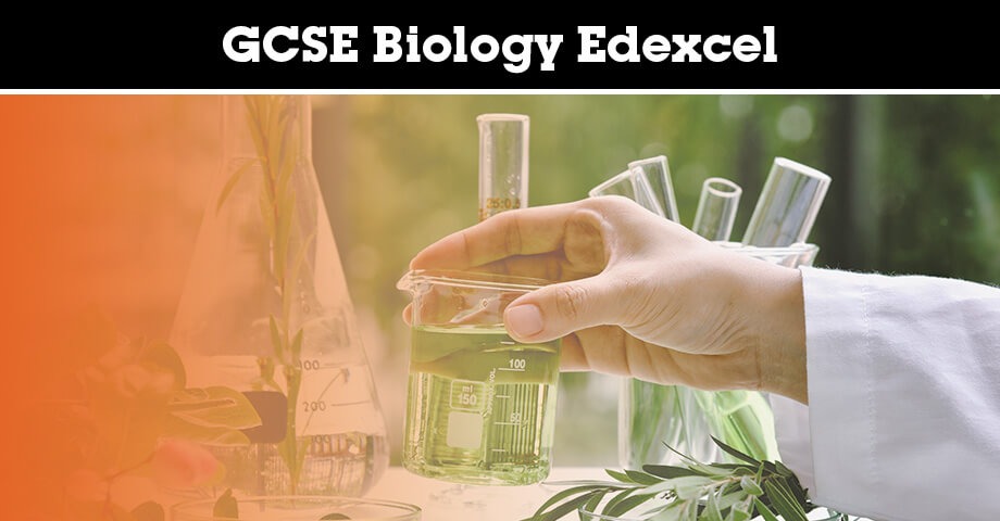 Biology_Edexcel